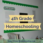 4th grade homeschooling