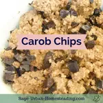 carob chips title
