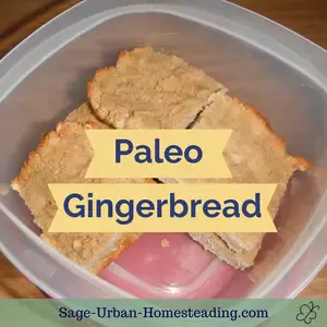 paleo gingerbread label