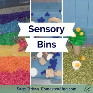 sensory bins label