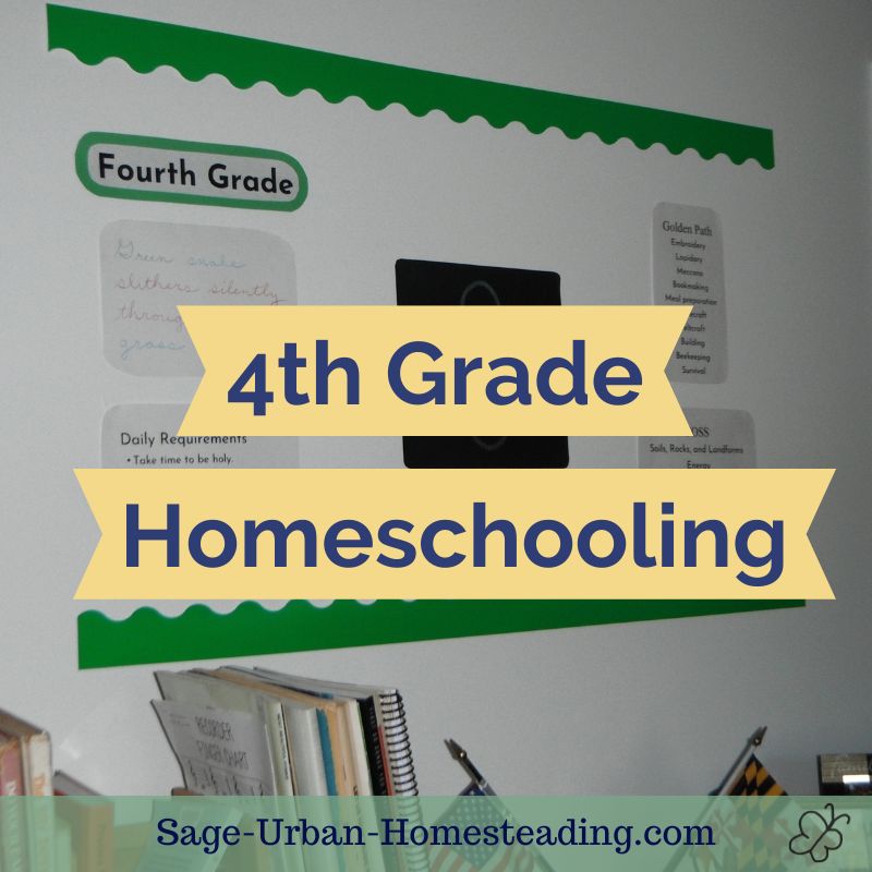 4th grade homeschooling