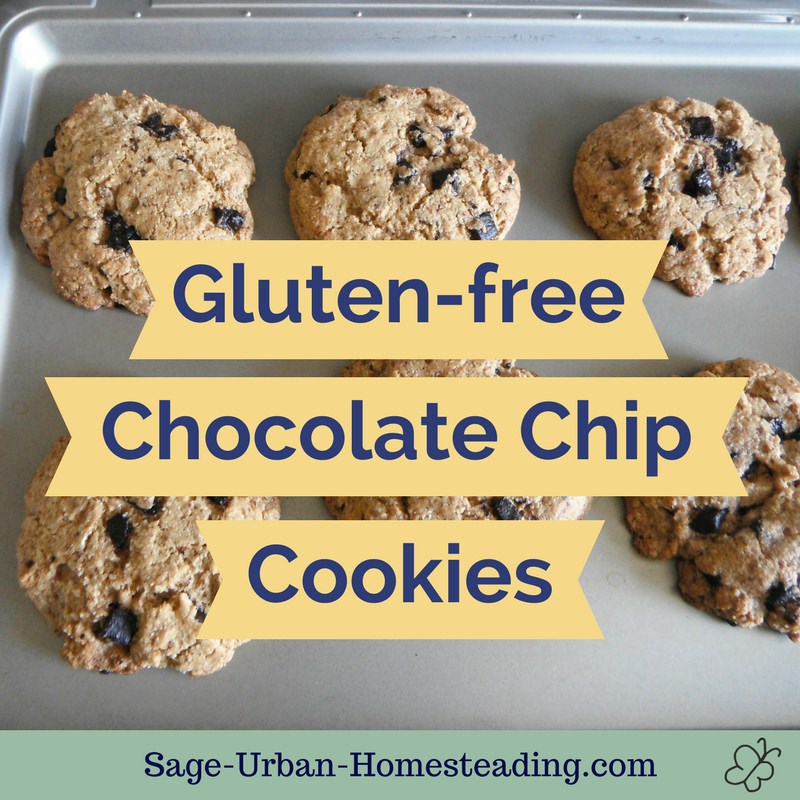gluten free chocolate chip cookies label
