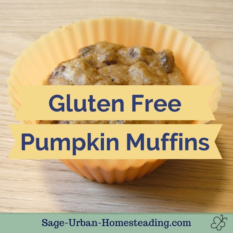 gluten free pumpkin muffins title