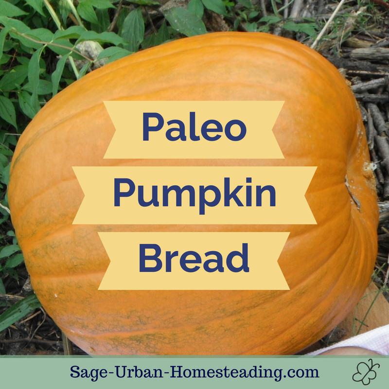 paleo pumpkin bread label