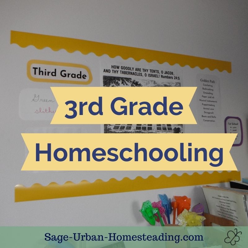 3rd grade homeschooling