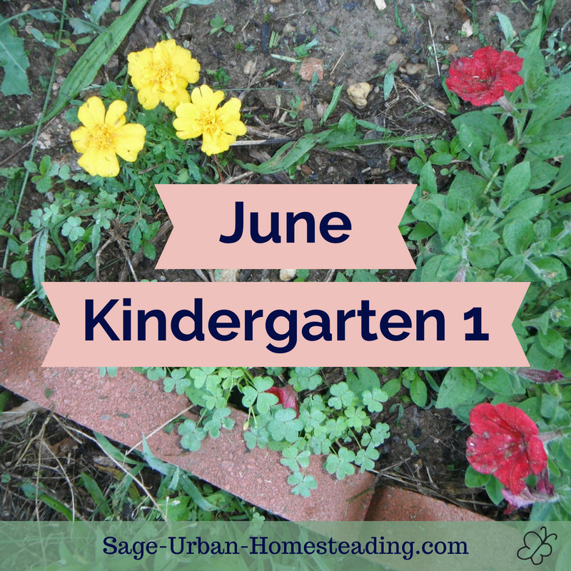 June kindergarten 1