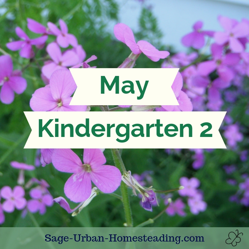 May kindergarten 2