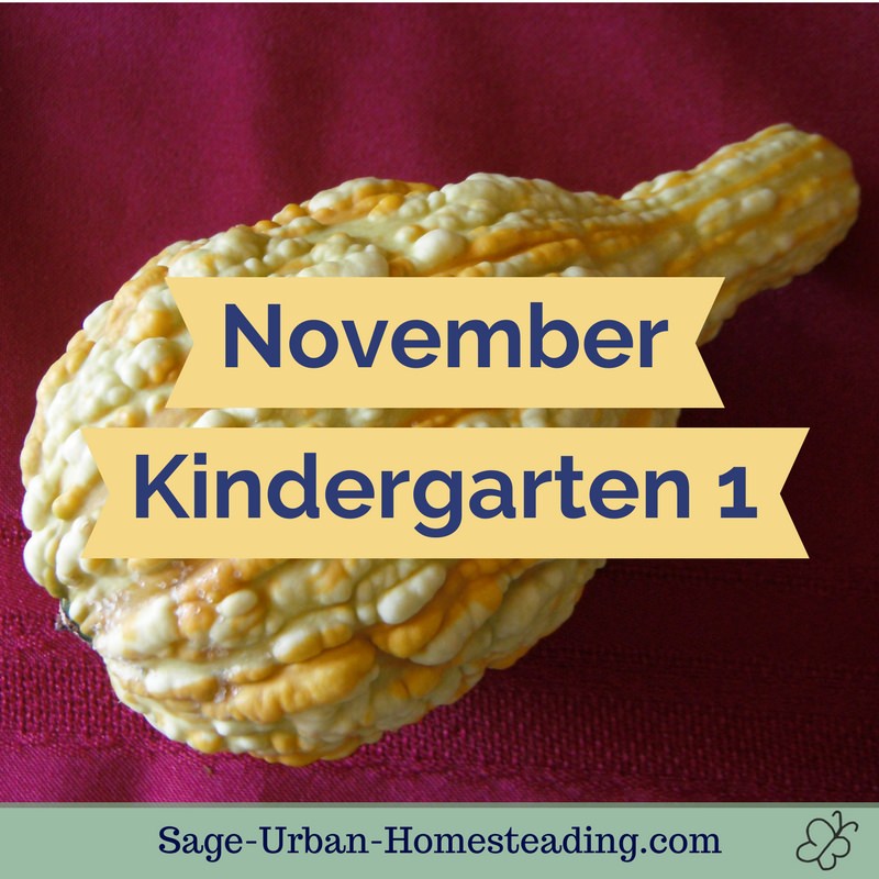 November kindergarten 1