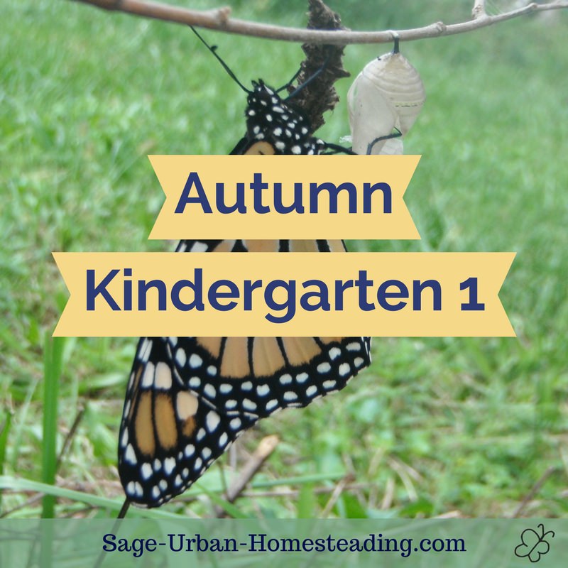 autumn kindergarten 1