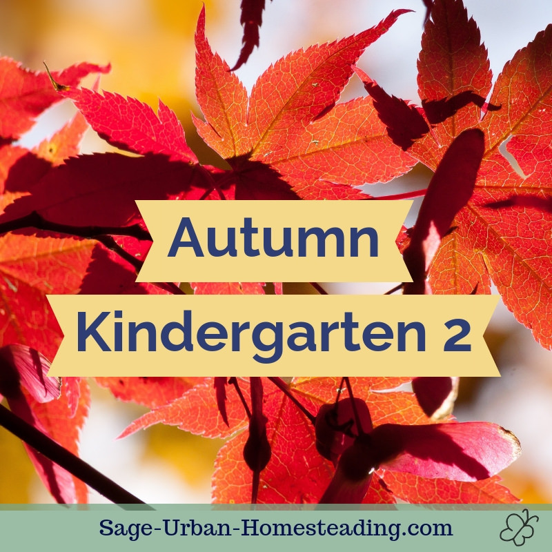 Autumn Kindergarten 2