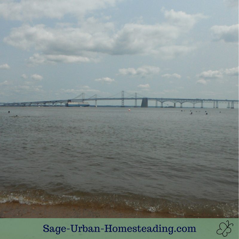 Chesapeake Bay Bridge