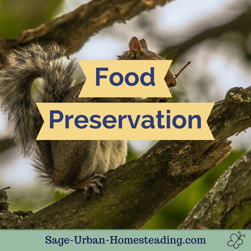 food preservation