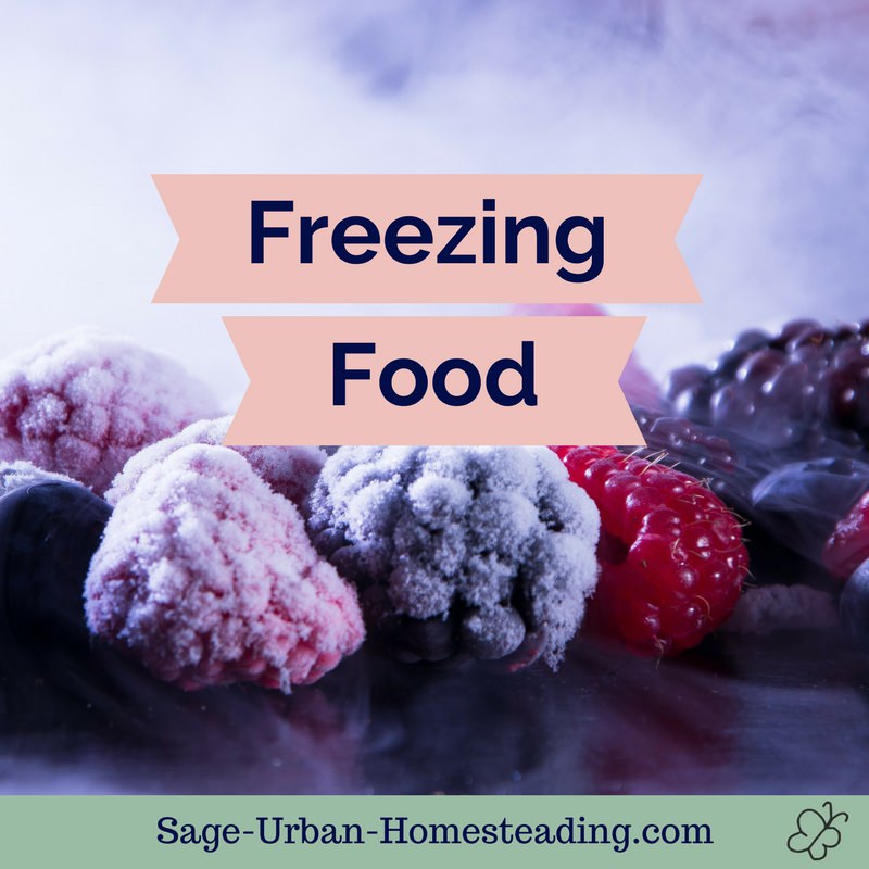 freezing food