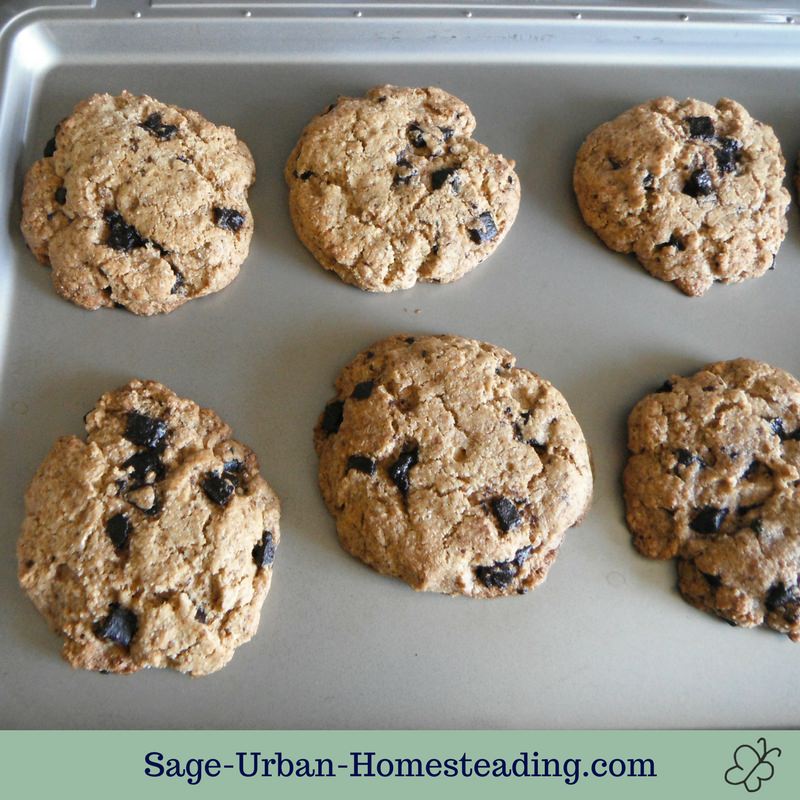 carob chip cookies