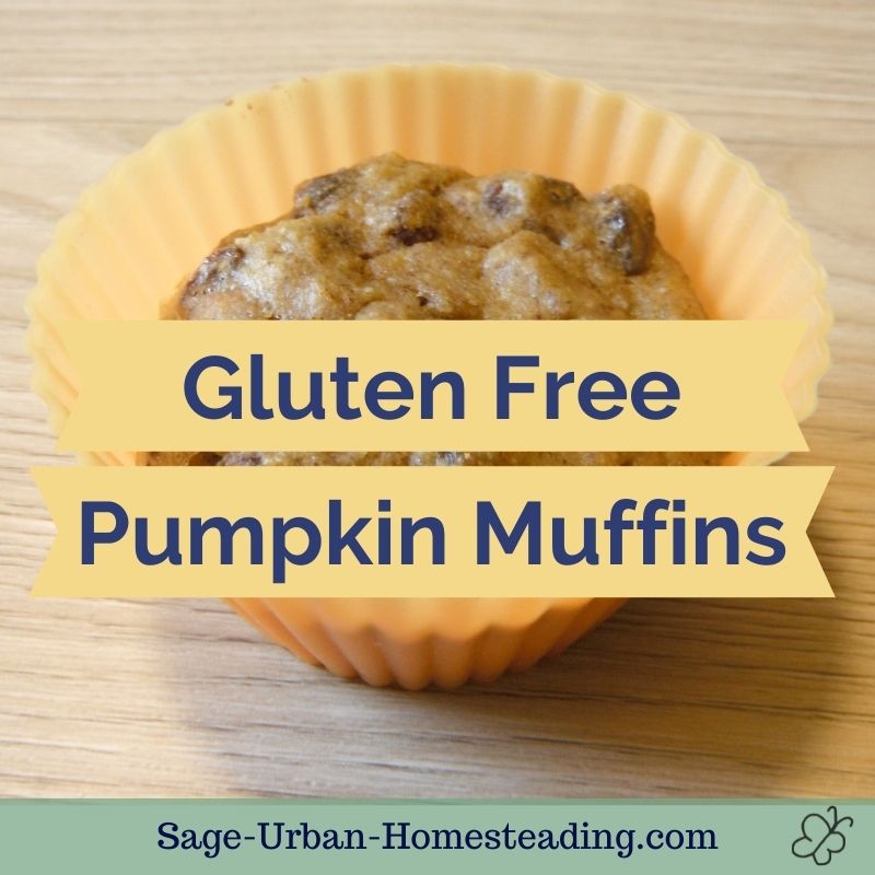 Gluten Free Pumpkin Muffins