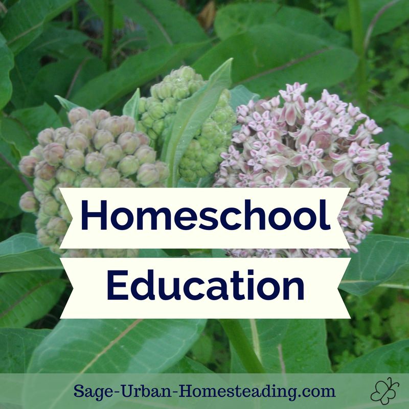 homeschool education