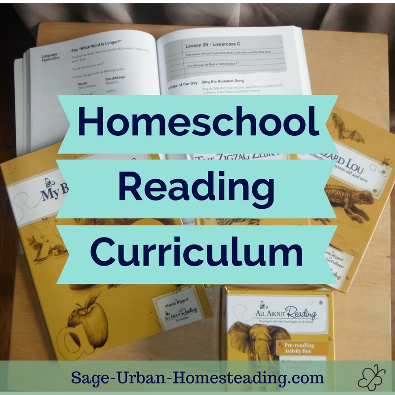 homeschool reading curriculum