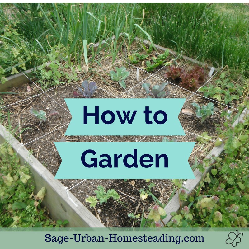how to garden