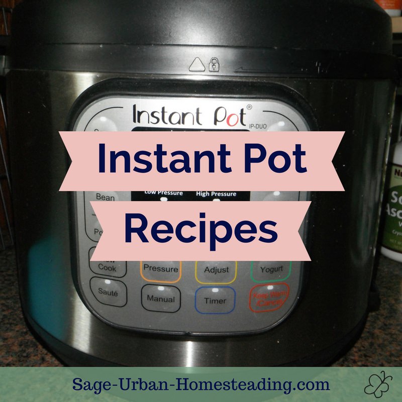 instant pot recipes