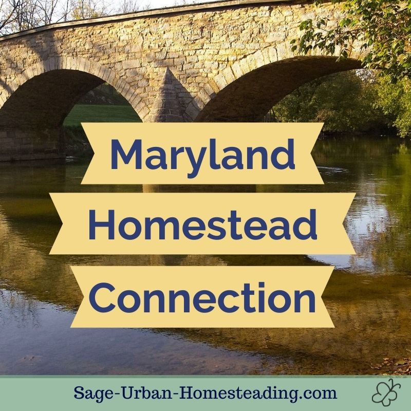 This background photo is a bridge at Antietam. (I love living in a state with so much history!) This background photo is a bridge at Antietam. (I love living in a state with so much history!)