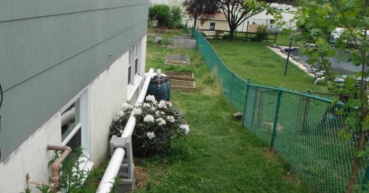 Rain barrels set up at one corner of our house, fed by long pipes from the gutters on both sides