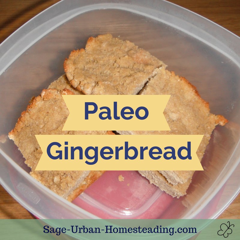 paleo gingerbread