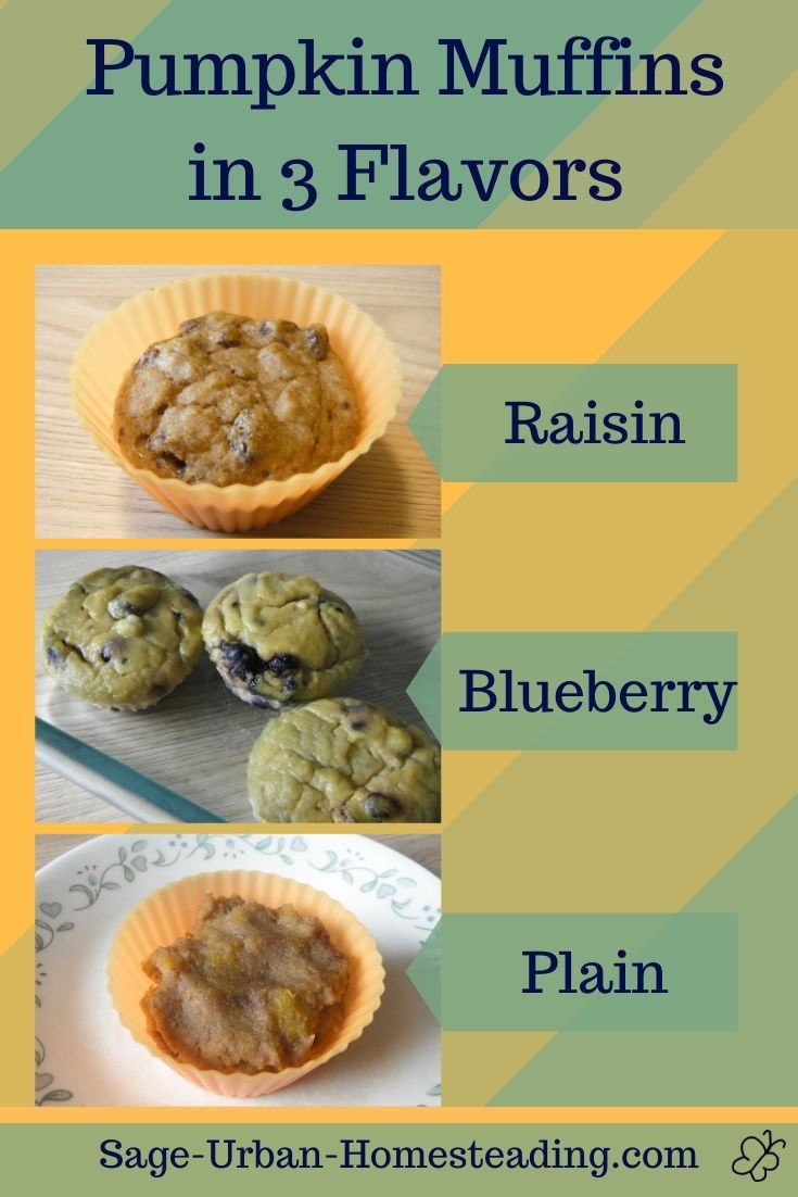 pumpkin muffins in 3 flavors