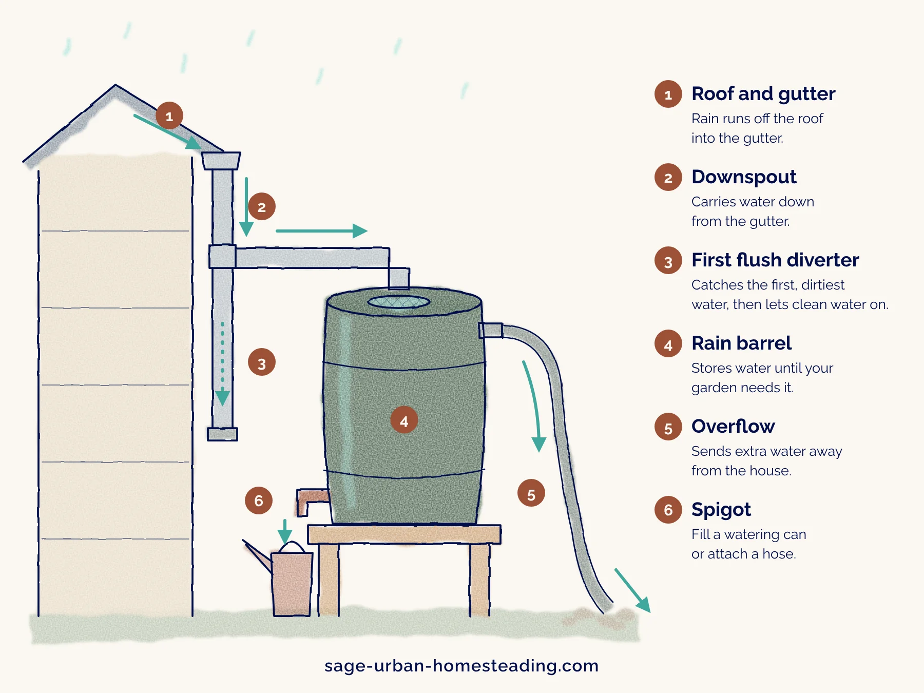 Diagram showing rainwater moving from the roof gutter down the downspout, through a first flush diverter, into the rain barrel, out the overflow away from the house, and from the spigot into a watering can