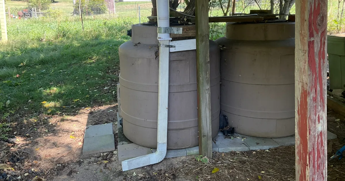 Our 200-gallon rain tanks collecting water from the metal roof of a shed near the garden