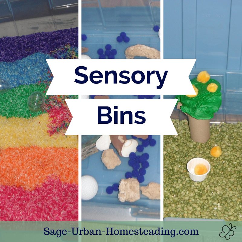  Sensory Bins