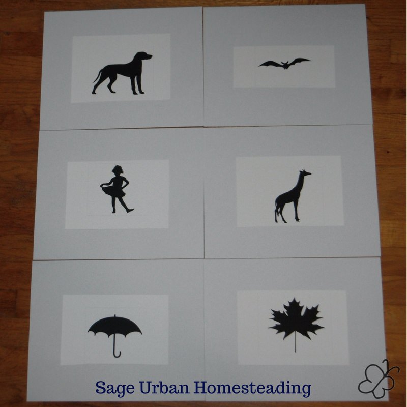 Snapp reading silhouette cards