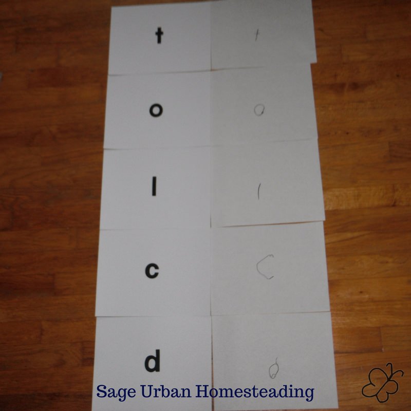 Snapp reading letter cards