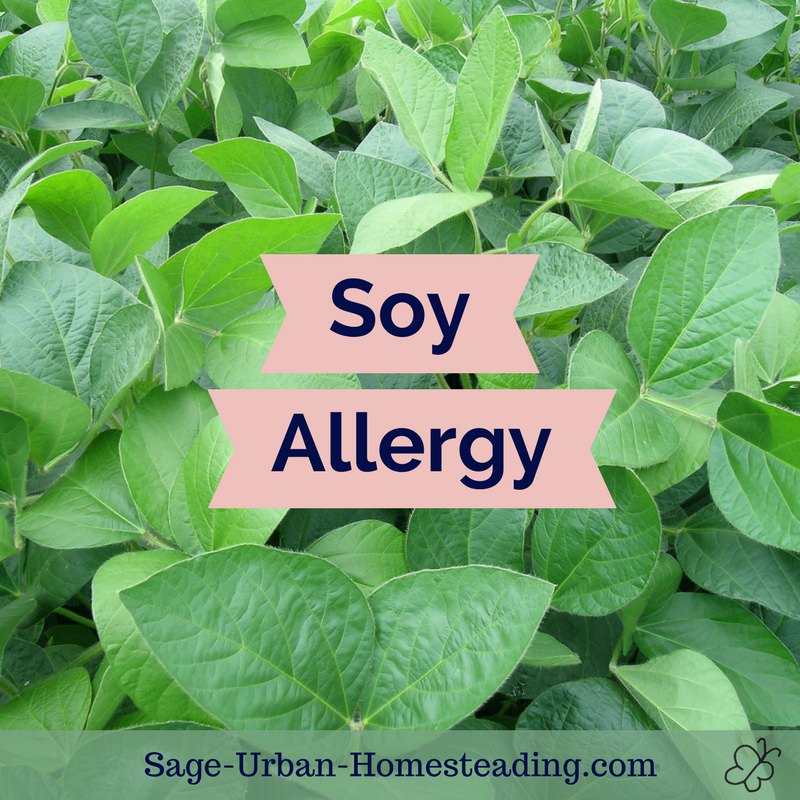 soy allergy