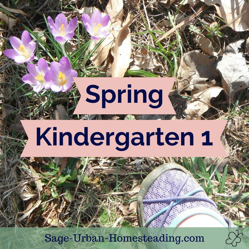 spring kindergarten 1