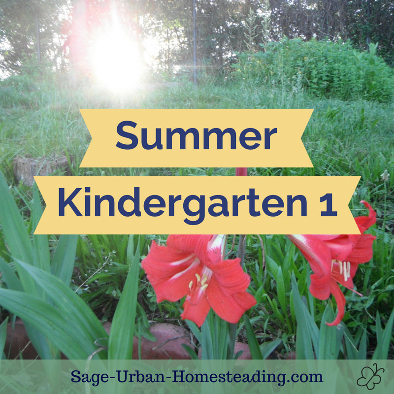 summer kindergarten 1