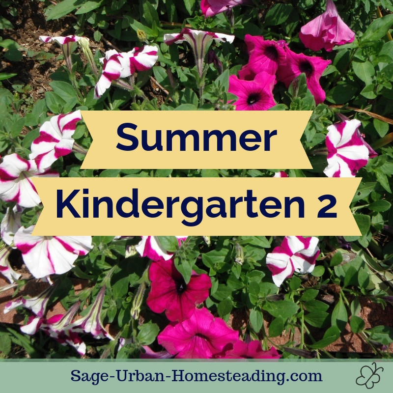 summer kindergarten 2