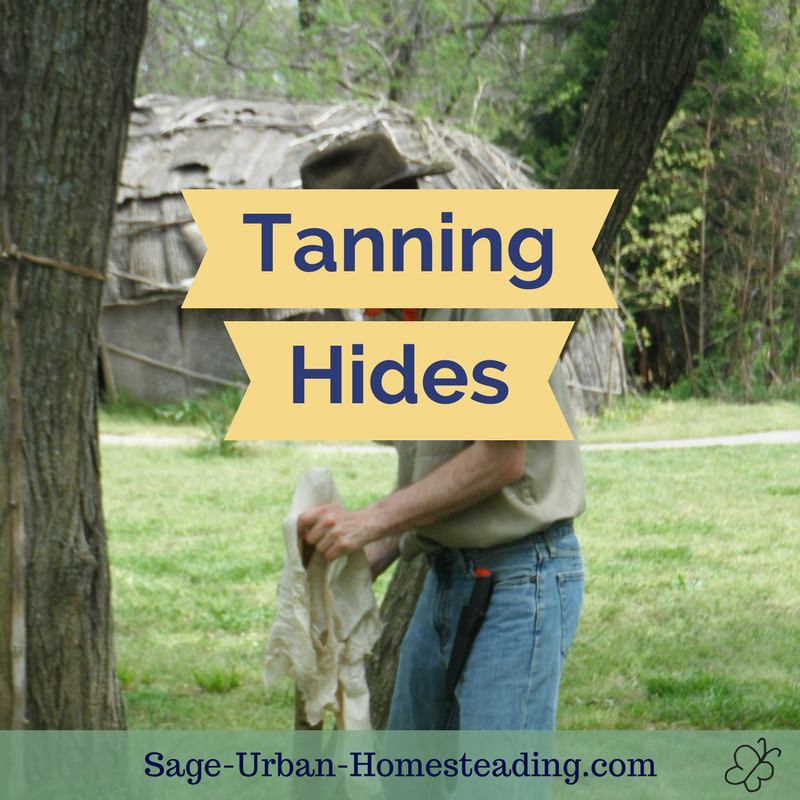 tanning hides