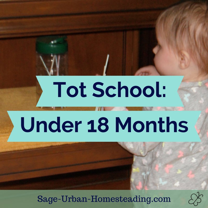 tot school: under 18 months