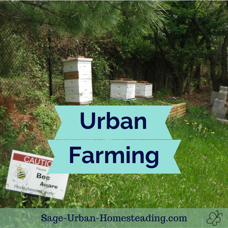 urban farming