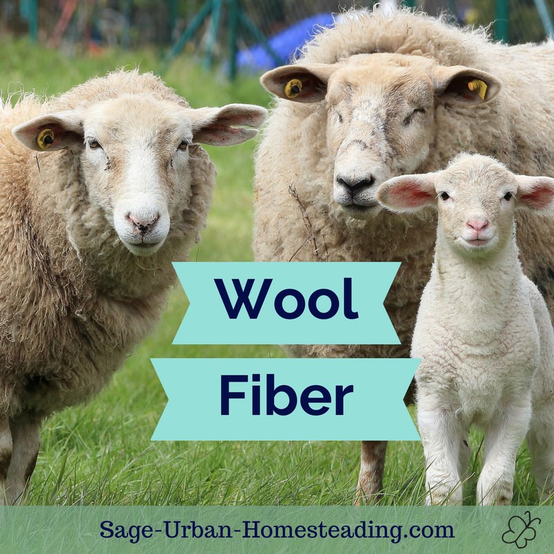 Wool Fiber for Needlefelting or Spinning Yarn