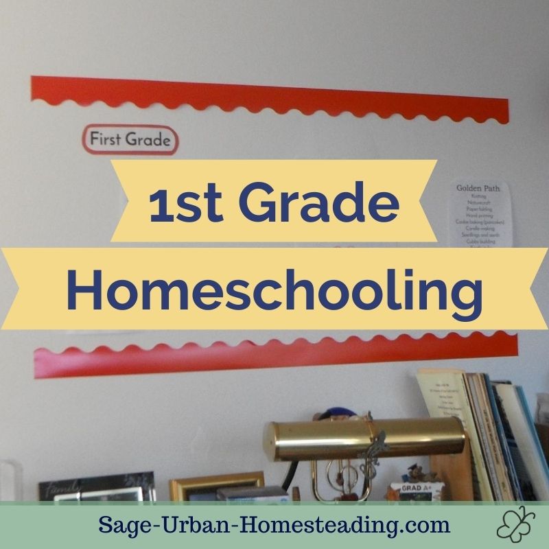 1st Grade Homeschooling