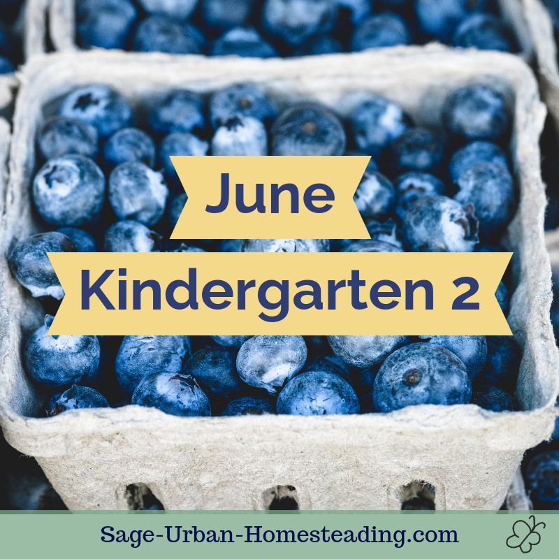 June kindergarten 2