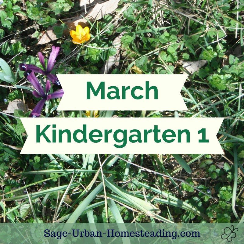 March kindergarten