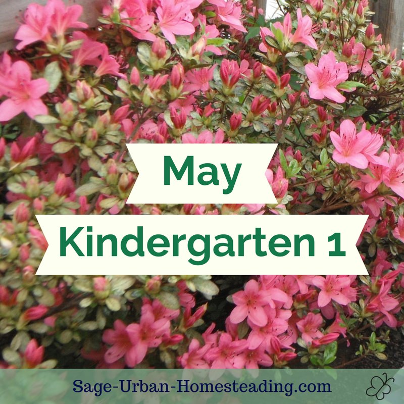 May kindergarten 1