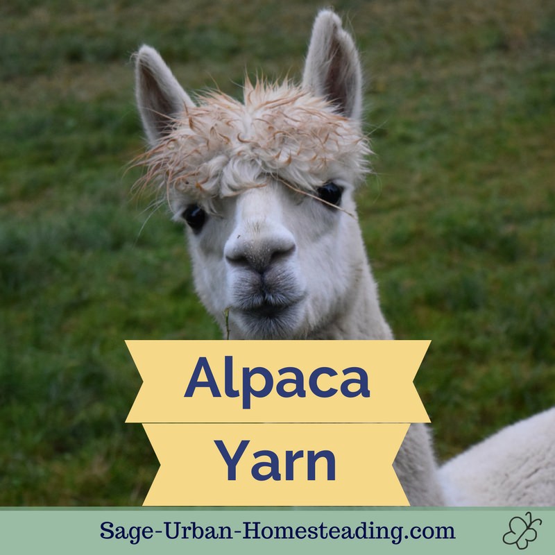 alpaca yarn