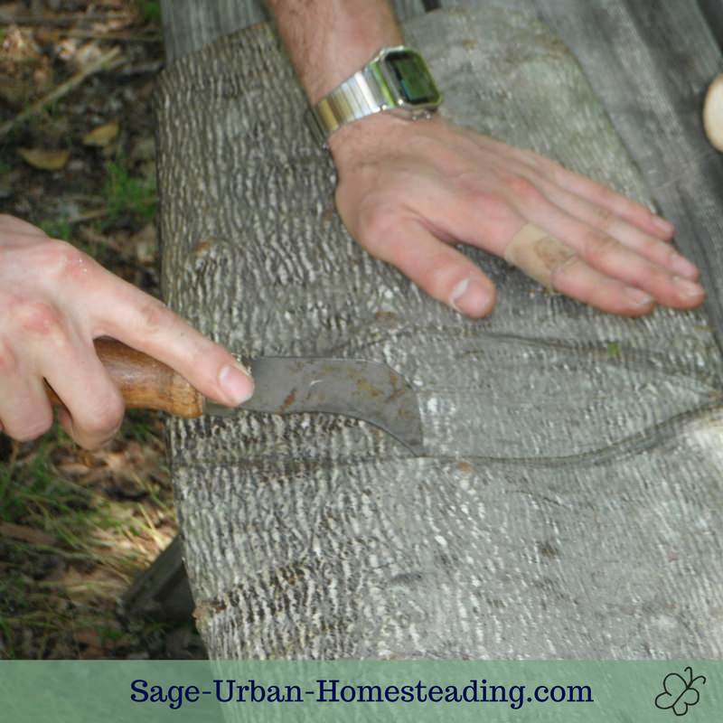 scoring bark for the basket bottom folds