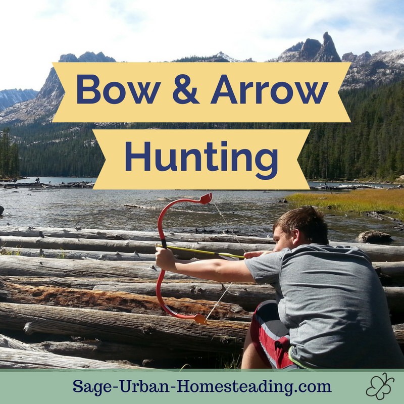 bow and arrow hunting