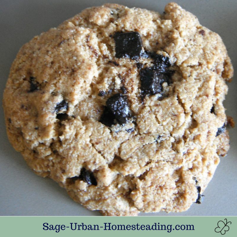 gluten-free carob chip cookie