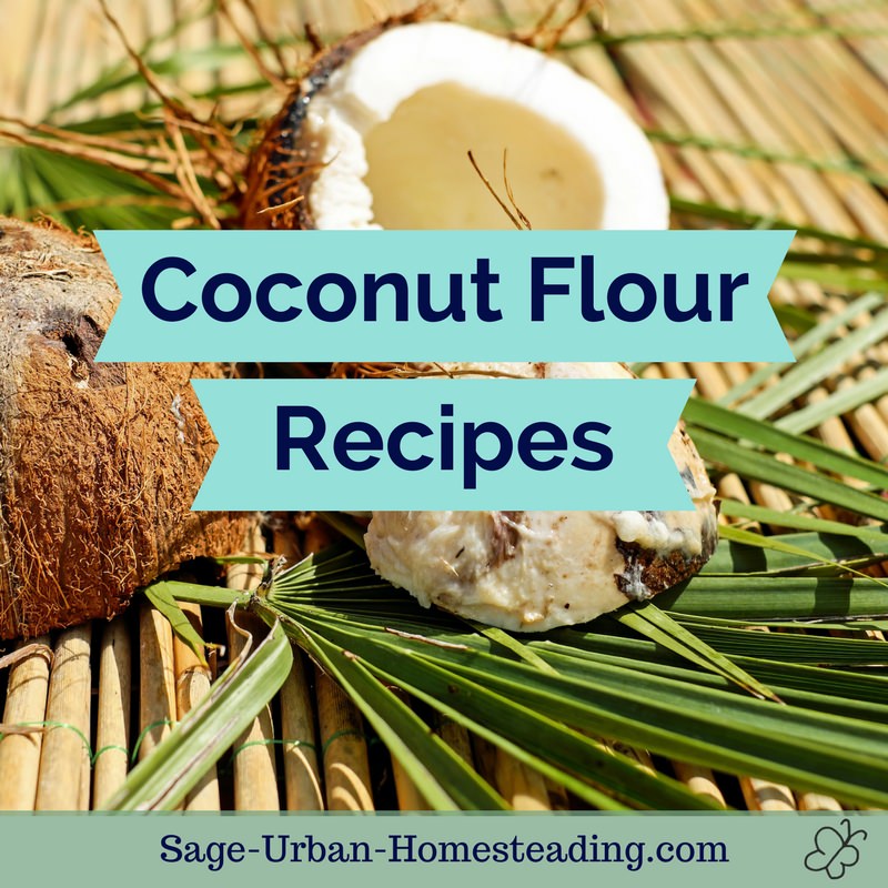 coconut flour recipes