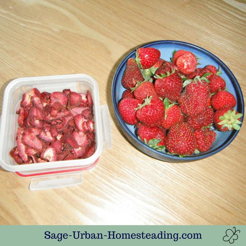 dehydrated strawberries and fresh strawberries